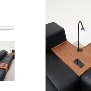 FU8061-Single armrest with main function