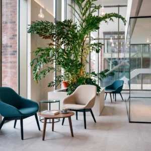 MS001 Leisure Chair (Special Offer)