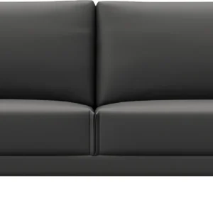 MS03 Two-seat sofa