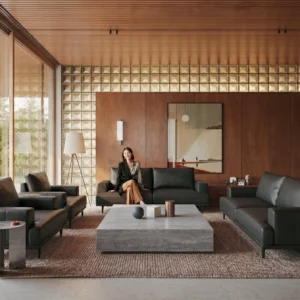 MS10 Sofa Set (1+1+3)