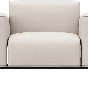 MS102A Leisure Chair