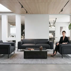 MS102D Leisure Chair