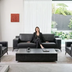 MS103 Two-seat sofa