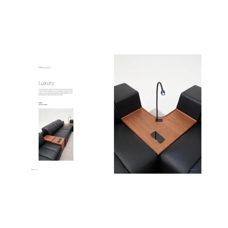 FU8061-Single armrest without main seat function
