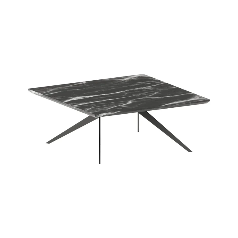 MSCJ09 Coffee Table